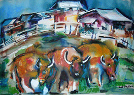 Steers in Pasture